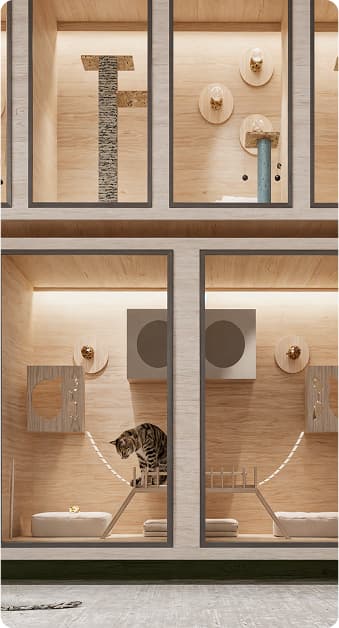 Fotos de K&AT playground 2